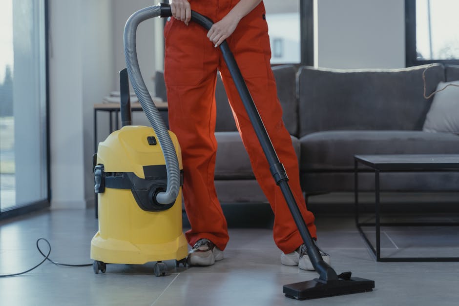 Deep steam carpet and upholstery cleaning in saskatoon